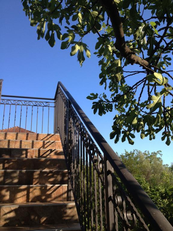 Apartmani Tivat Kaludjerovic Quarto foto